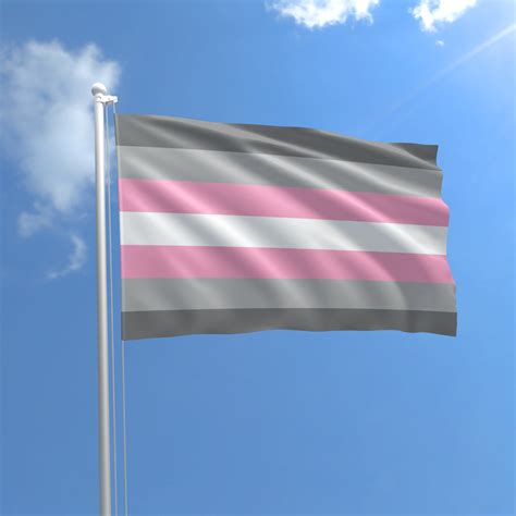 demigirl flag|intersex flag.